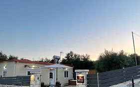 Elia House